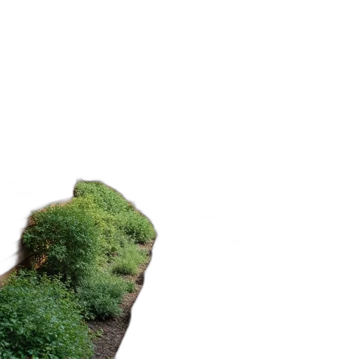 tree, face, mask, shoes transparent PNG cut-out
