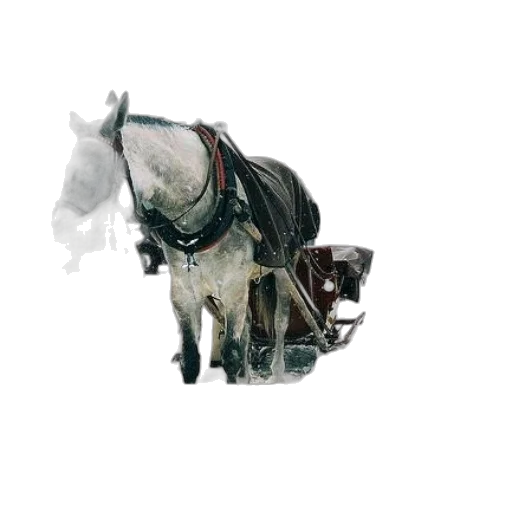 animal, robot, weapon, staff transparent PNG cut-out