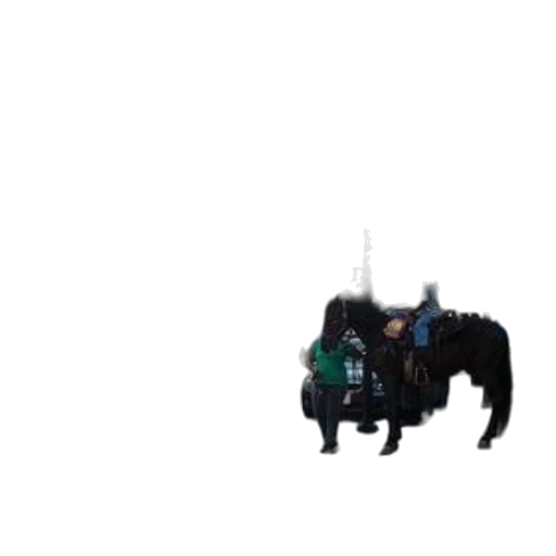 animal, robot, dragon, creature transparent PNG cut-out