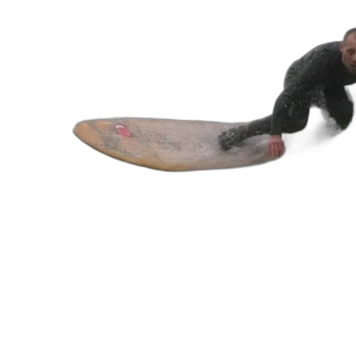 shoes, animal, creature, weapon transparent PNG cut-out