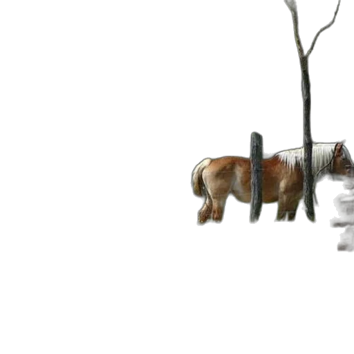 animal, tree, creature, hair transparent PNG cut-out
