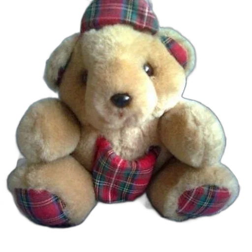 teddy, bear, plaid, accents transparent PNG cut-out