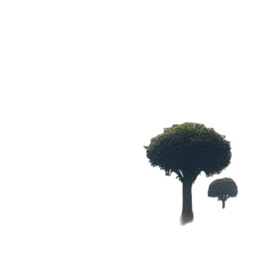 tree, crown, umbrella, hat transparent PNG cut-out