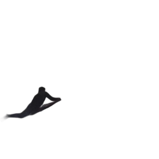 shoes, hat, hair, animal transparent PNG cut-out