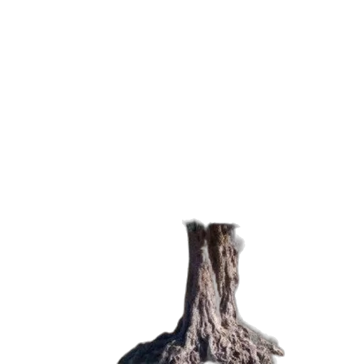 tree, hair, crown, bottle transparent PNG cut-out