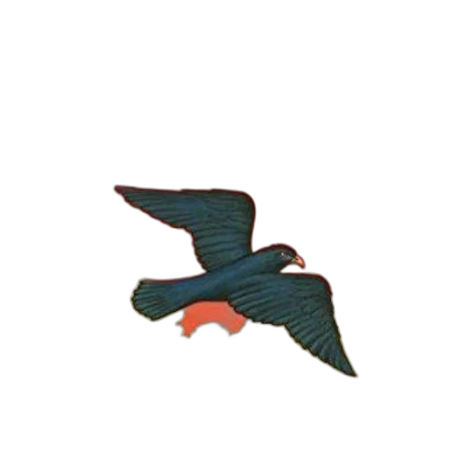 staff, animal, jewelry, dragon transparent PNG cut-out