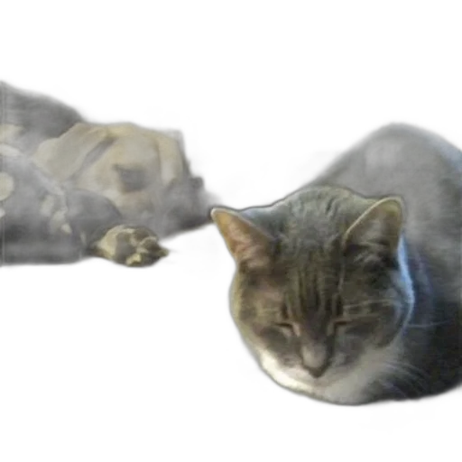 animal, creature, staff, weapon transparent PNG cut-out