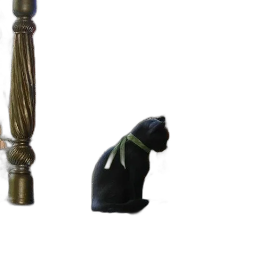 staff, umbrella, animal, jewelry transparent PNG cut-out