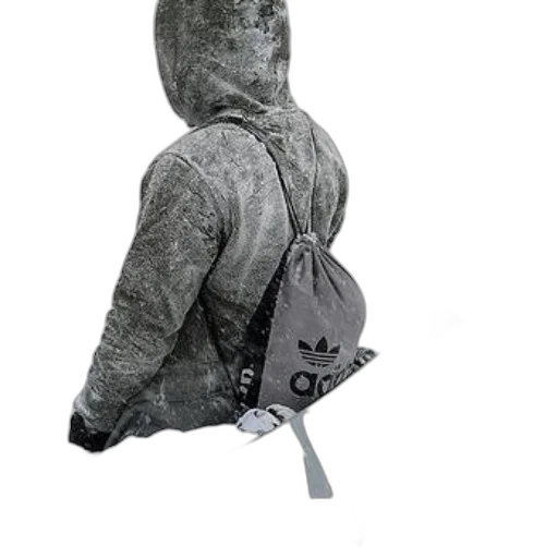 jacket, umbrella, staff, hat transparent PNG cut-out
