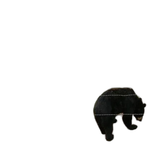 animal, creature, staff, weapon transparent PNG cut-out