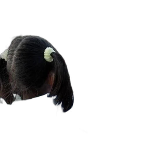hair, animal, creature, crown transparent PNG cut-out