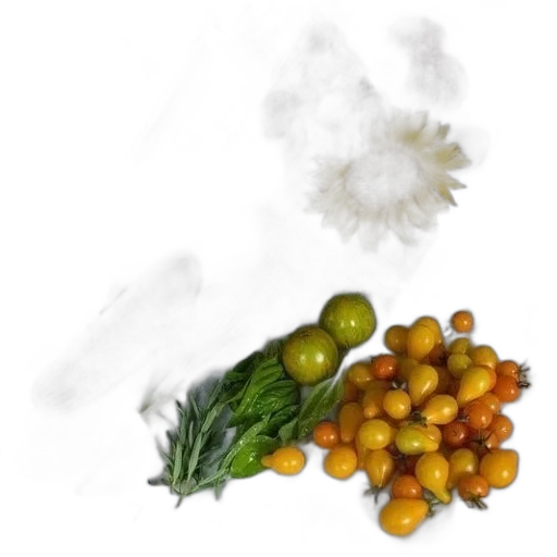 food, flower, hair, crown transparent PNG cut-out