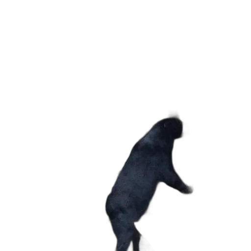 animal, creature, staff, dress transparent PNG cut-out