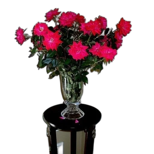 flower, crown, furniture, 3d render transparent PNG cut-out