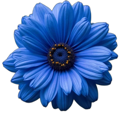 flower, crown, jewelry, staff transparent PNG cut-out