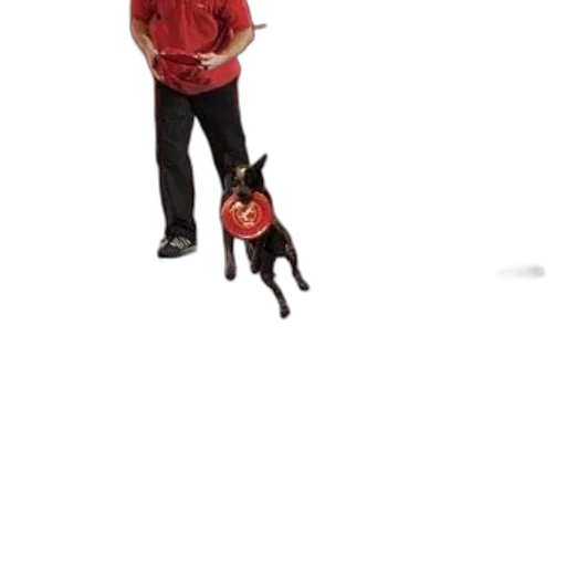 staff, animal, creature, jacket transparent PNG cut-out