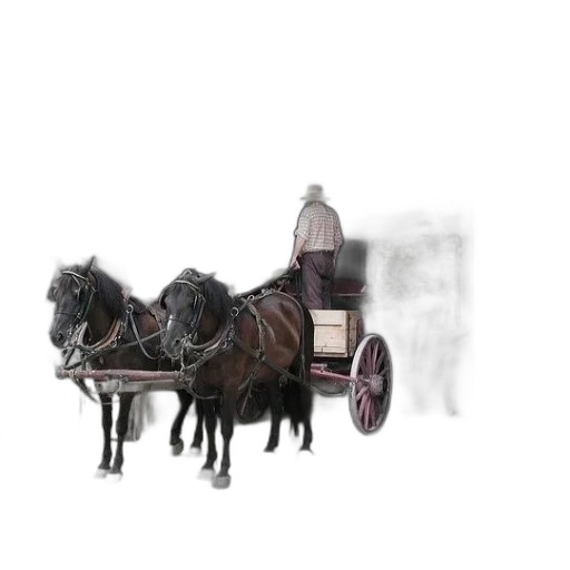 car, animal, robot, furniture transparent PNG cut-out