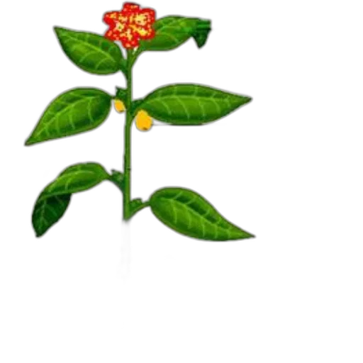 flower, crown, staff, food transparent PNG cut-out
