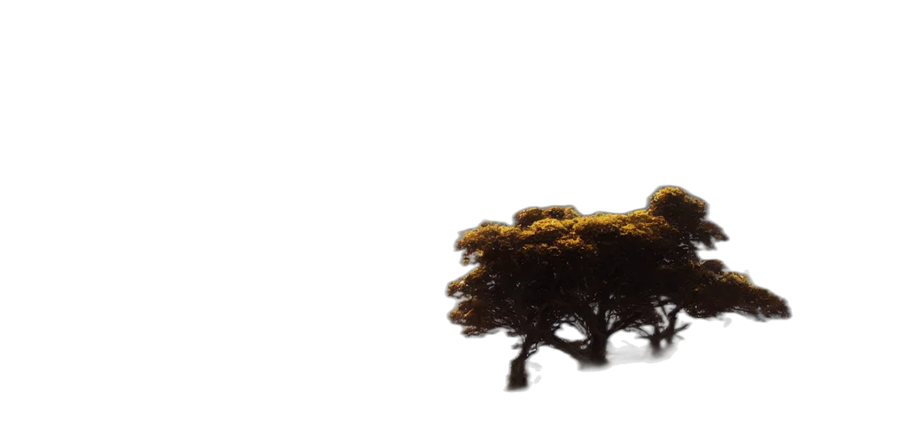 tree, crown, hair, creature transparent PNG cut-out