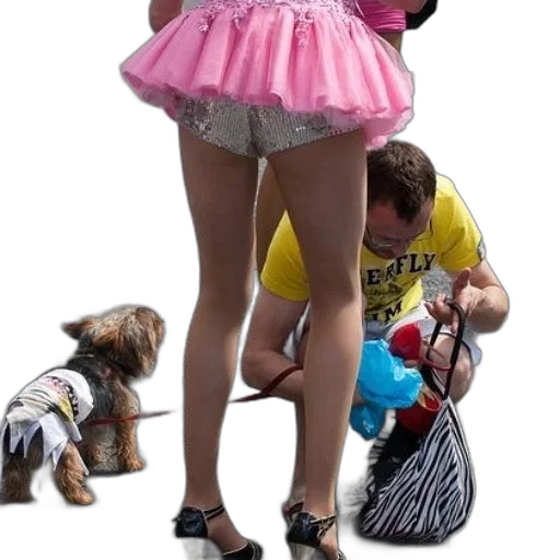 dress, creature, animal, shoes transparent PNG cut-out