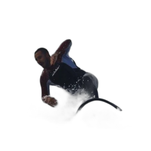animal, creature, staff, dragon transparent PNG cut-out