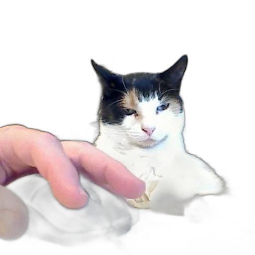animal, staff, creature, weapon transparent PNG cut-out