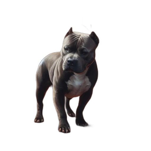 animal, creature, staff, face transparent PNG cut-out