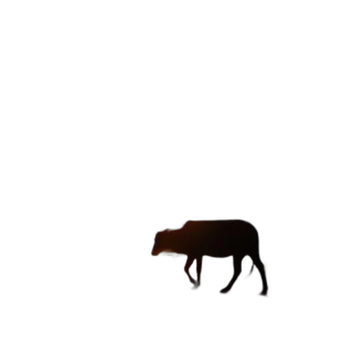 animal, creature, furniture, hat transparent PNG cut-out