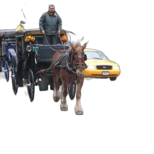car, photorealistic, horse-drawn, carriage transparent PNG cut-out