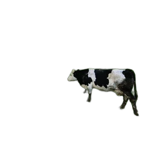 animal, creature, food, robot transparent PNG cut-out