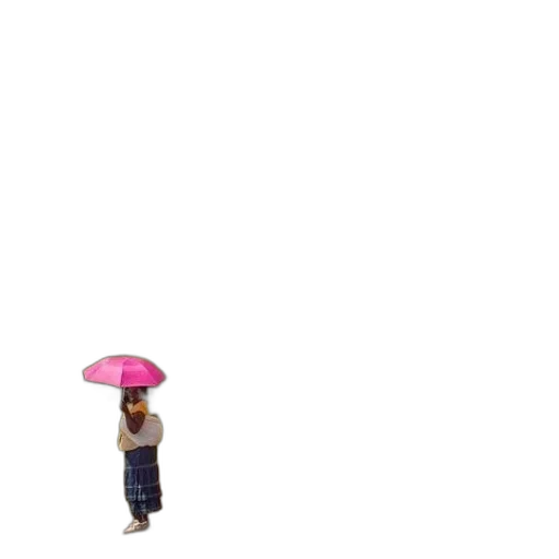 umbrella, hat, dress, staff transparent PNG cut-out