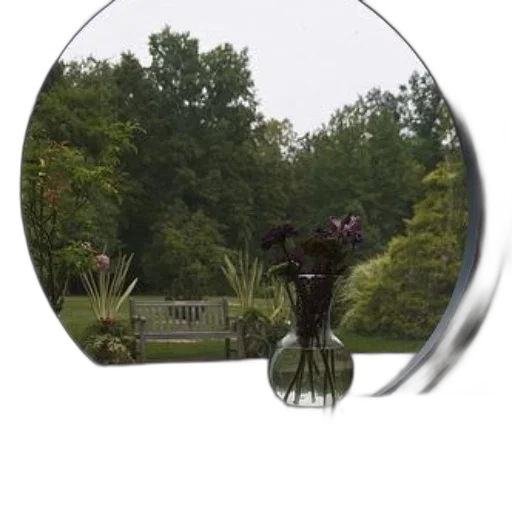umbrella, jewelry, staff, furniture transparent PNG cut-out