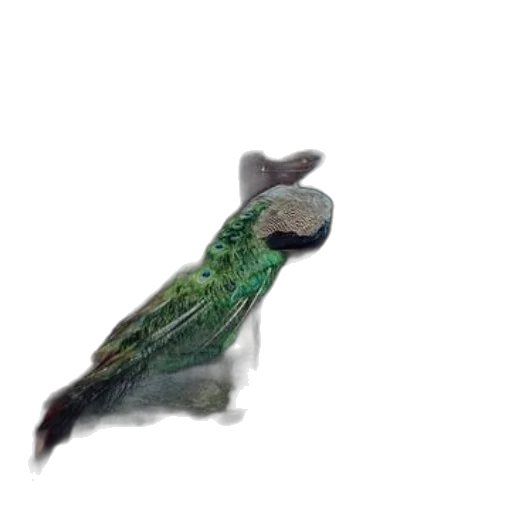 animal, dragon, creature, hat transparent PNG cut-out
