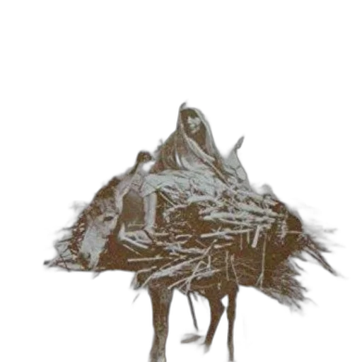 creature, mask, animal, crown transparent PNG cut-out