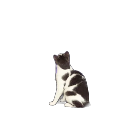 animal, staff, creature, robot transparent PNG cut-out
