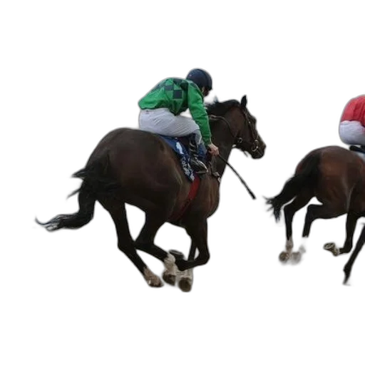 two, jockeys, horses, racing transparent PNG cut-out