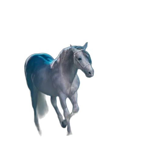 animal, creature, dragon, staff transparent PNG cut-out