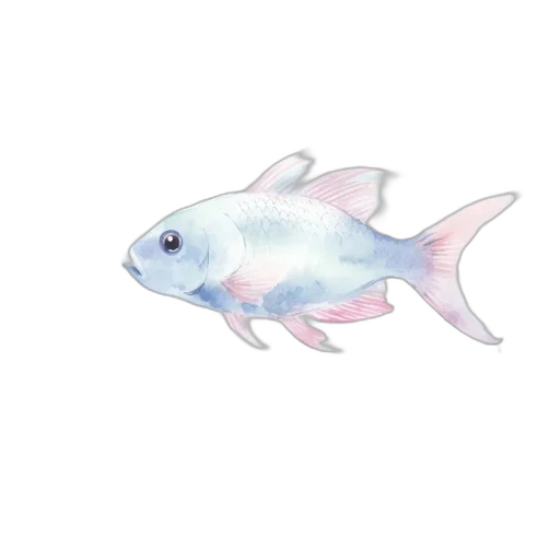 animal, creature, food, staff transparent PNG cut-out