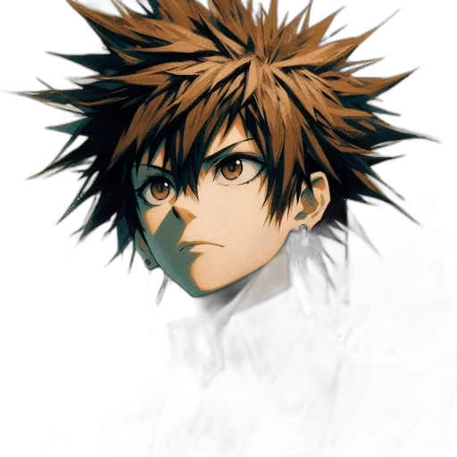 face, mask, staff, hair transparent PNG cut-out
