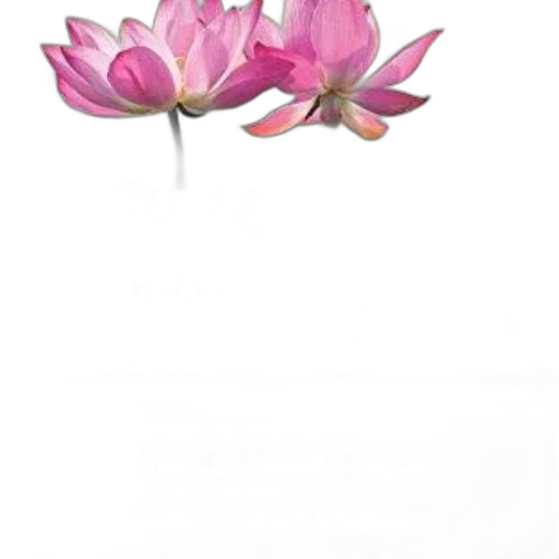 flower, jewelry, crown, staff transparent PNG cut-out
