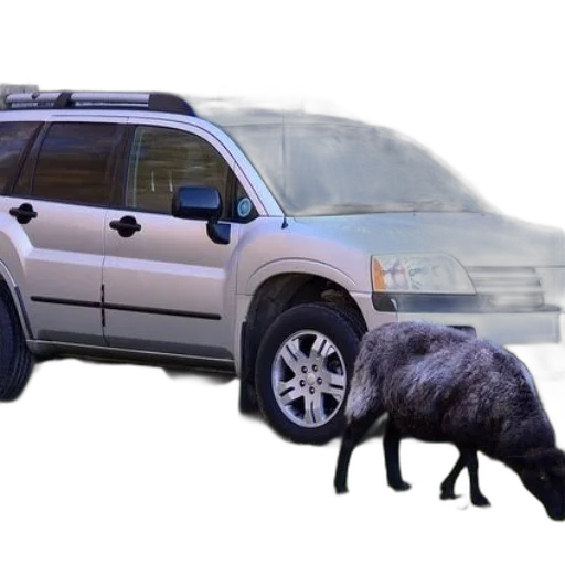 car, animal, sheep, grazes transparent PNG cut-out