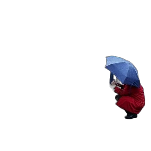 umbrella, hat, jacket, staff transparent PNG cut-out