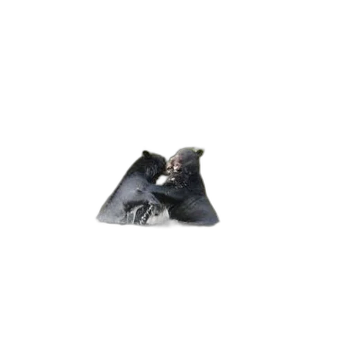 animal, mask, weapon, shoes transparent PNG cut-out