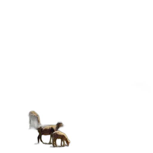 furniture, animal, creature, staff transparent PNG cut-out