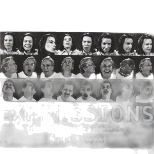 photorealistic, facial, expressions, visual transparent PNG cut-out
