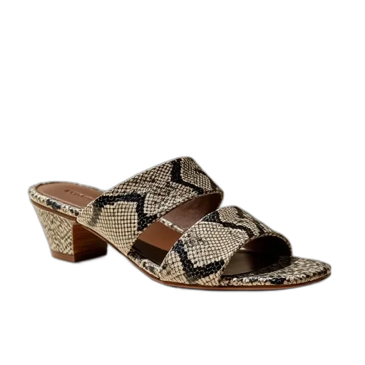 shoes, flexform, sandal, python transparent PNG cut-out