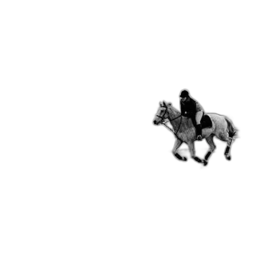 animal, hat, car, creature transparent PNG cut-out
