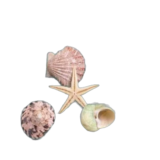jewelry, food, crown, umbrella transparent PNG cut-out