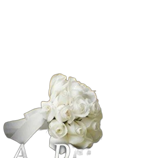 crown, flower, mask, food transparent PNG cut-out