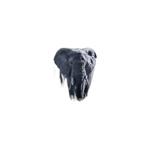 animal, creature, face, mask transparent PNG cut-out